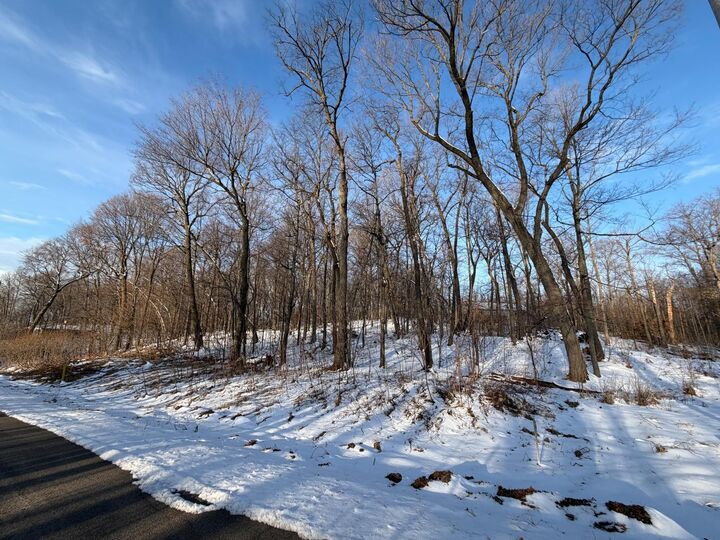 Property Photo:  Lots 119 Earle Brown Drive  MN 56450 