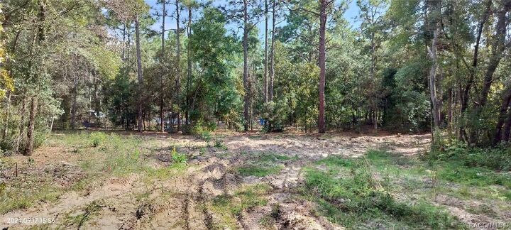 Property Photo:  1108 E Van Gogh Court  FL 34442 