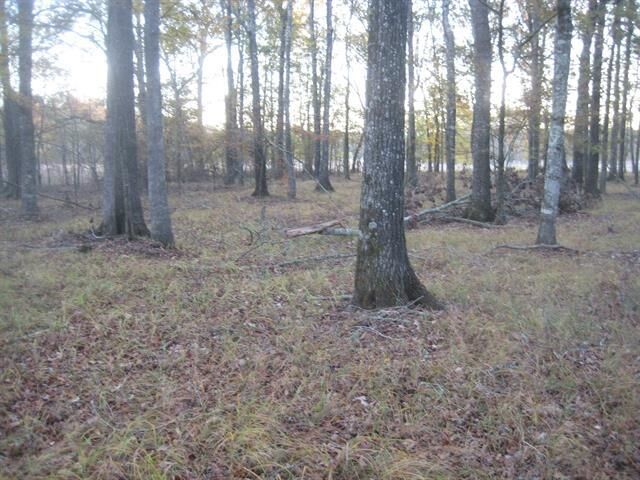 Property Photo:  0000 Fm 839  TX 75684-7568 