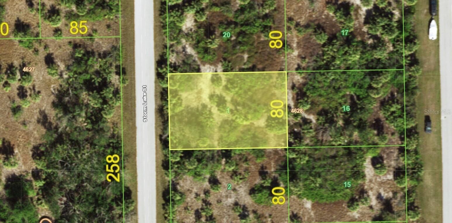 Property Photo:  13530 Storm Lake Street  FL 33981 