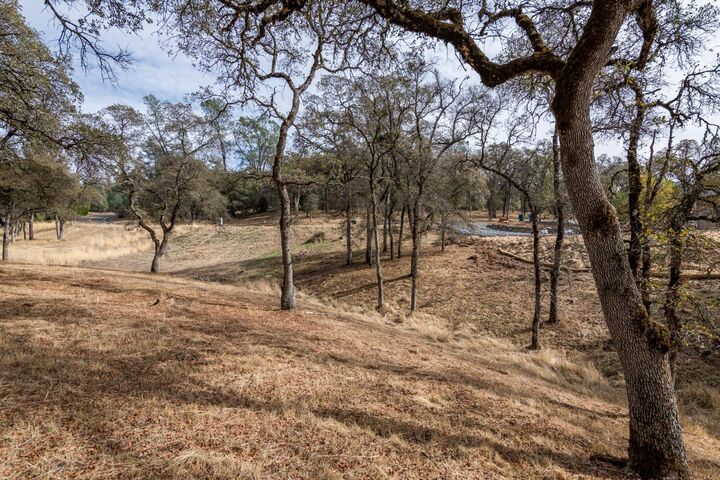 Property Photo:  23288 Darkhorse Drive  CA 95602 