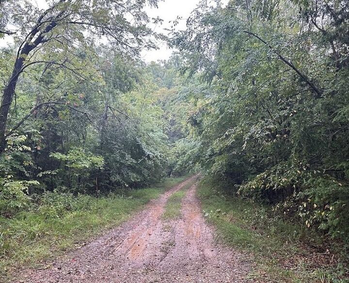 Property Photo:  Aster Drive  AR 72756 