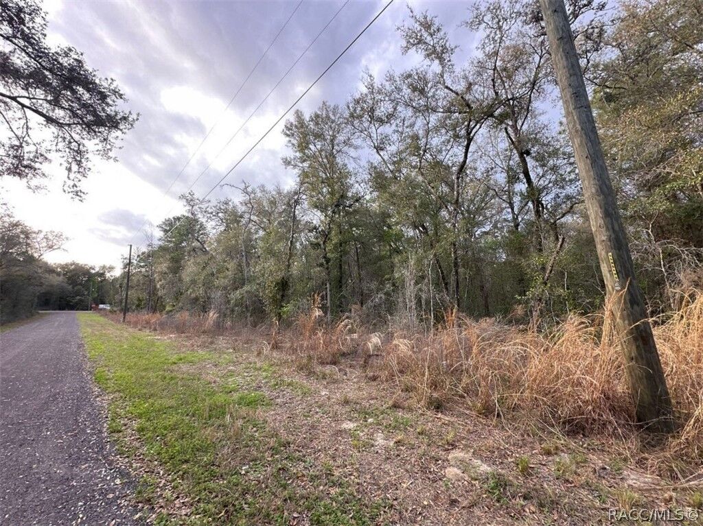 Property Photo:  3505 E Lou Lane  FL 34453 