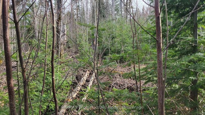 Property Photo: Pcl 20438 &Amp 29803 Upper Walker Lake Road ON P1H 2J6