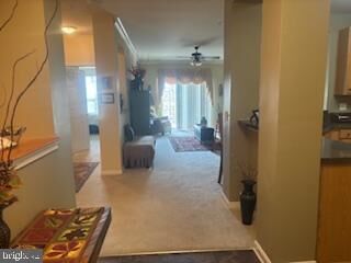 Property Photo:  700 Cattail Cove 207  MD 21613 