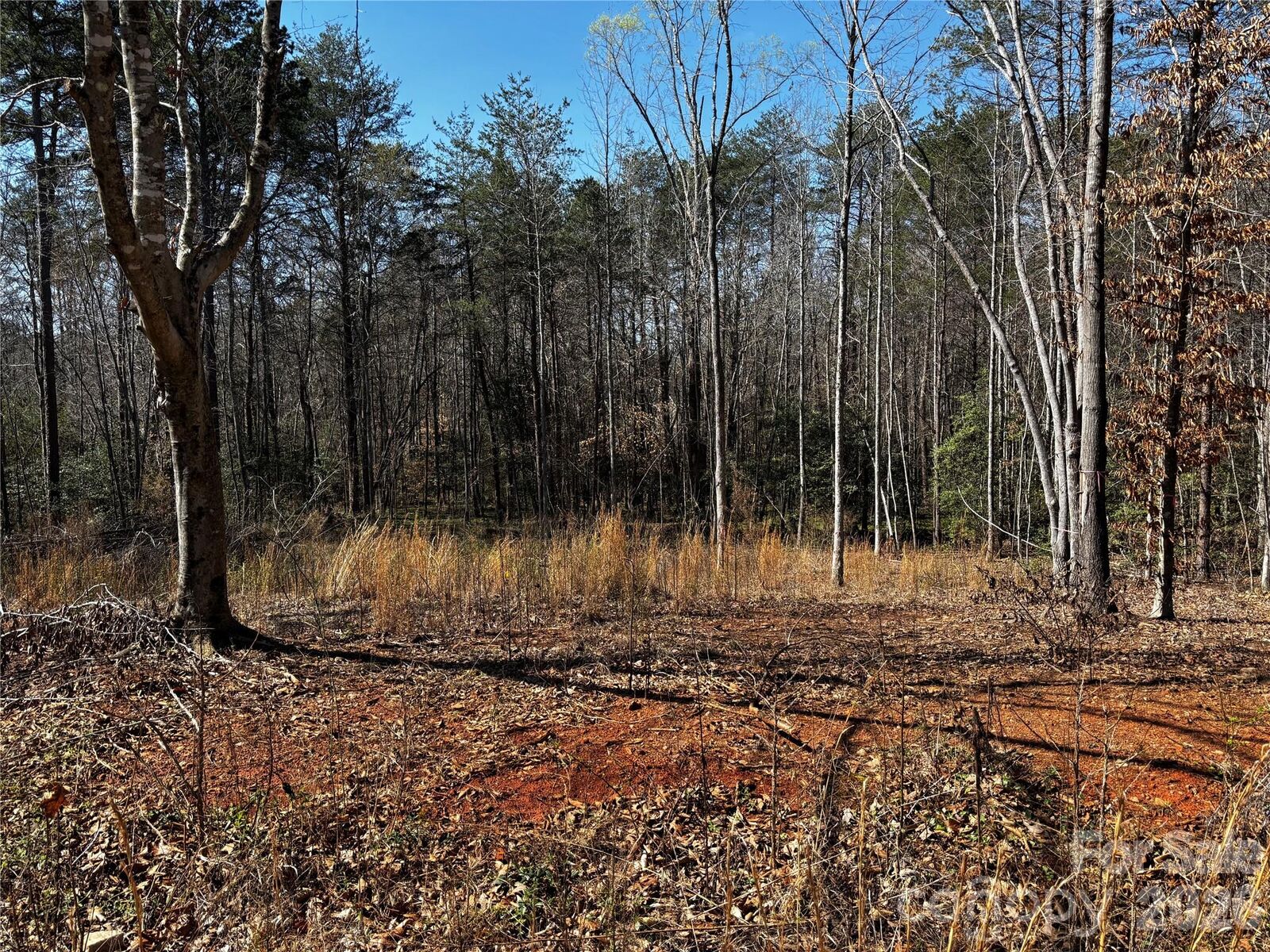 Property Photo: 1467 Graycrest Drive NC 28609