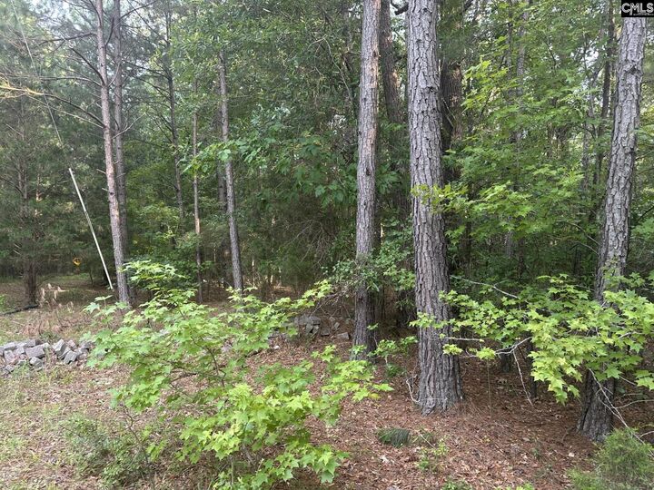 Property Photo:  320 Dewdrop  SC 29130 