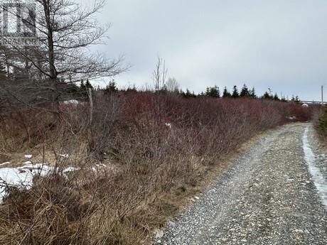 Property Photo:  9-21 Cottors Street  NL A1Y 1A7 