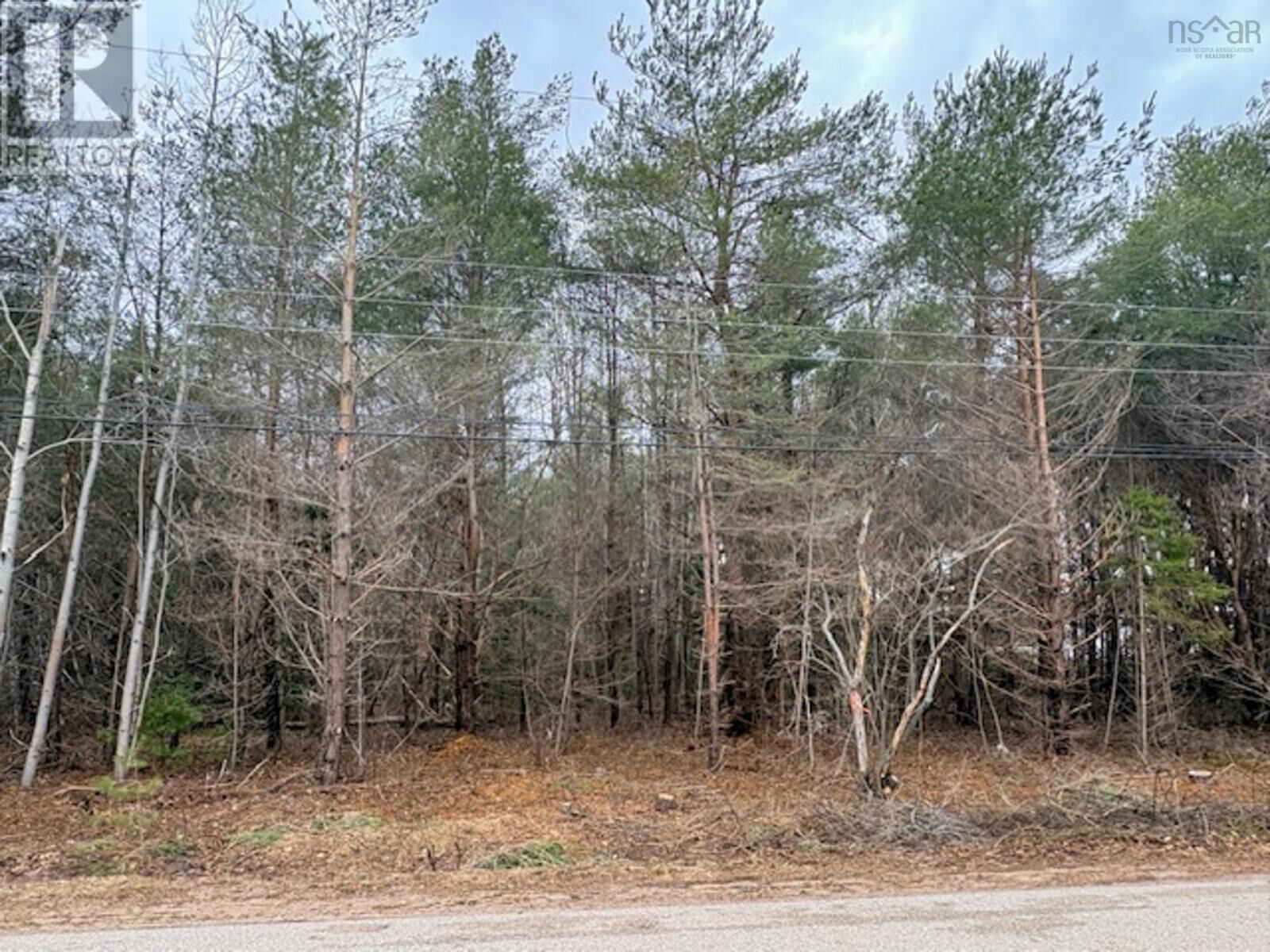 Property Photo:  Lot 3 Wanda Lynn Drive  NS B0S 1P0 