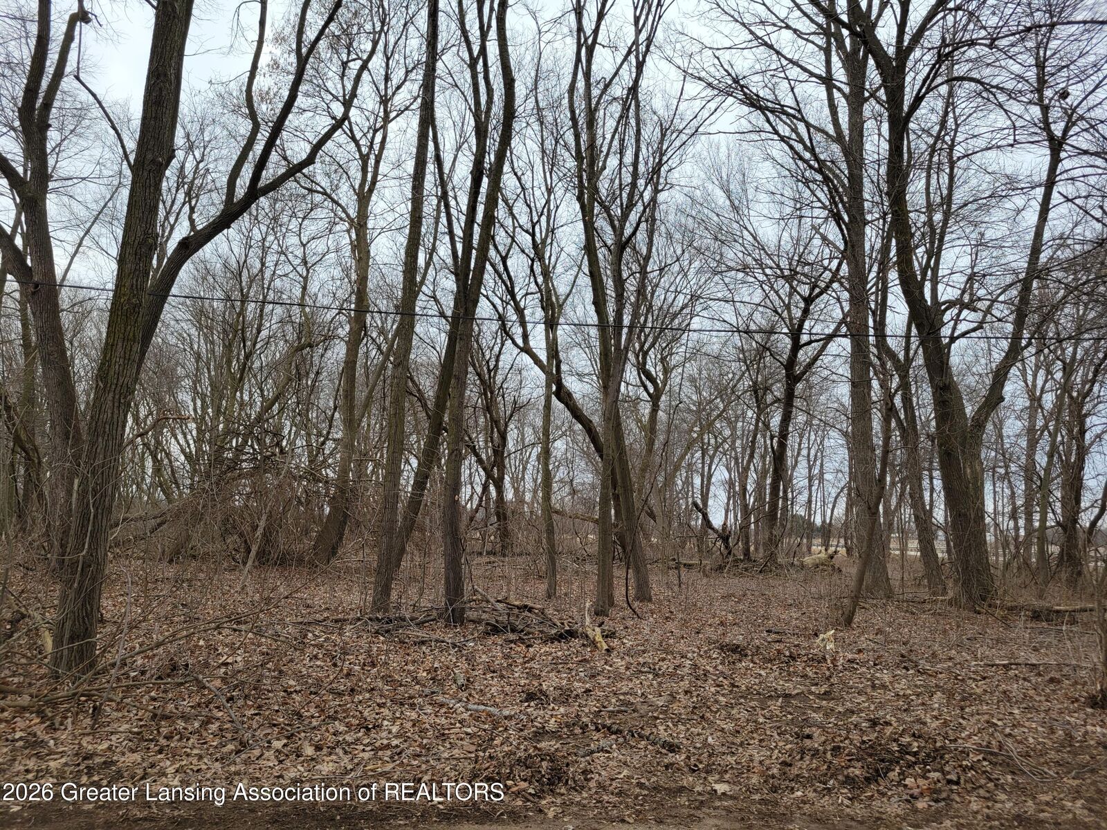 Property Photo:  0000 E M21  MI 48866 