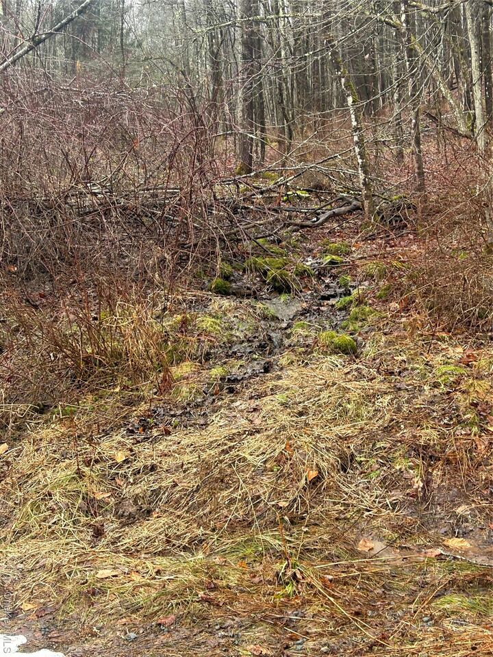 Property Photo:  395 Back Shandelee Road  NY 12758 