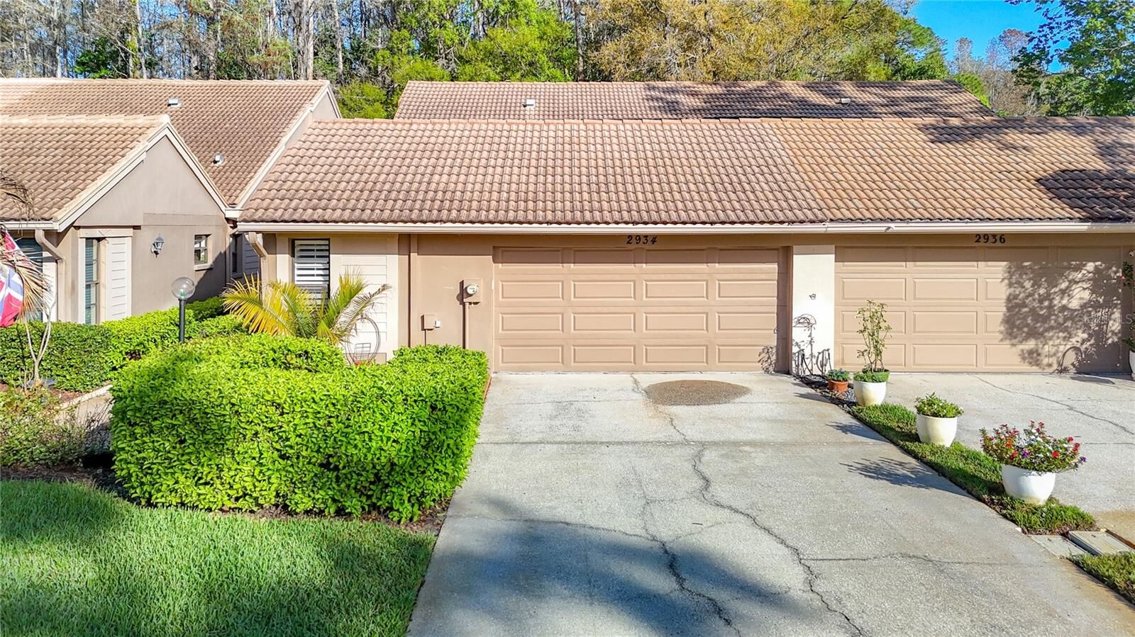Property Photo:  2934 Windmoor Drive S  FL 34685 