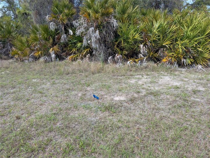 Property Photo: 516 Sunset Road N FL 33947
