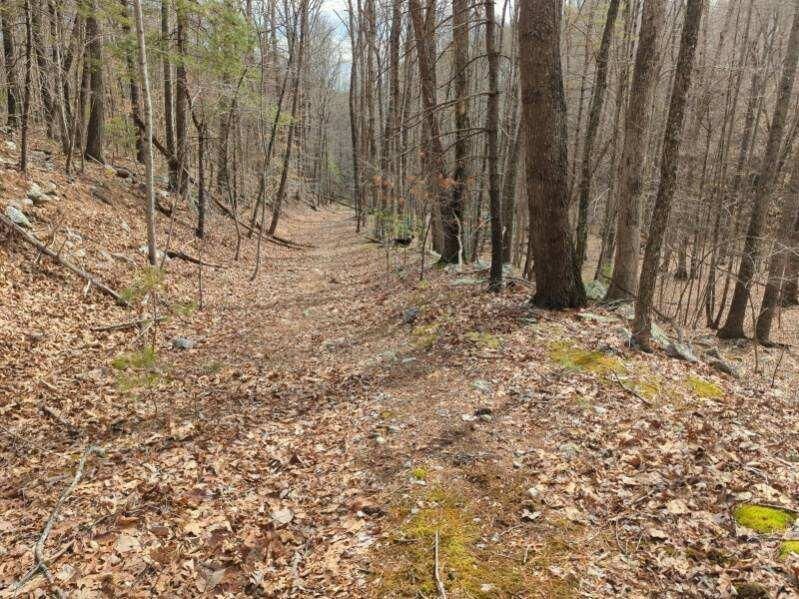 Property Photo:  Tbd Design Lane  VA 24149 