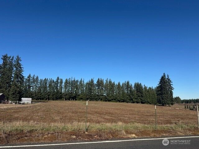 Property Photo: 0 Lot 2 Brown Road WA 98532