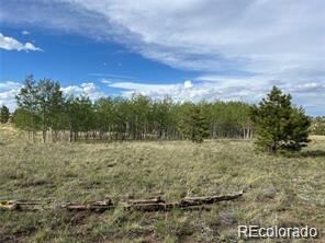 Property Photo:  1599 Campfire Road  CO 80449 