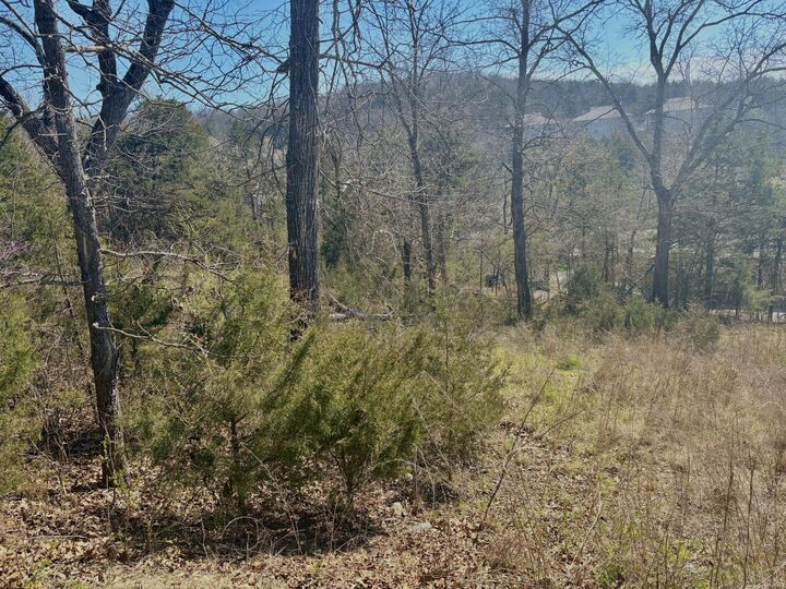 Property Photo:  180 Green Briar Drive  MO 65616 