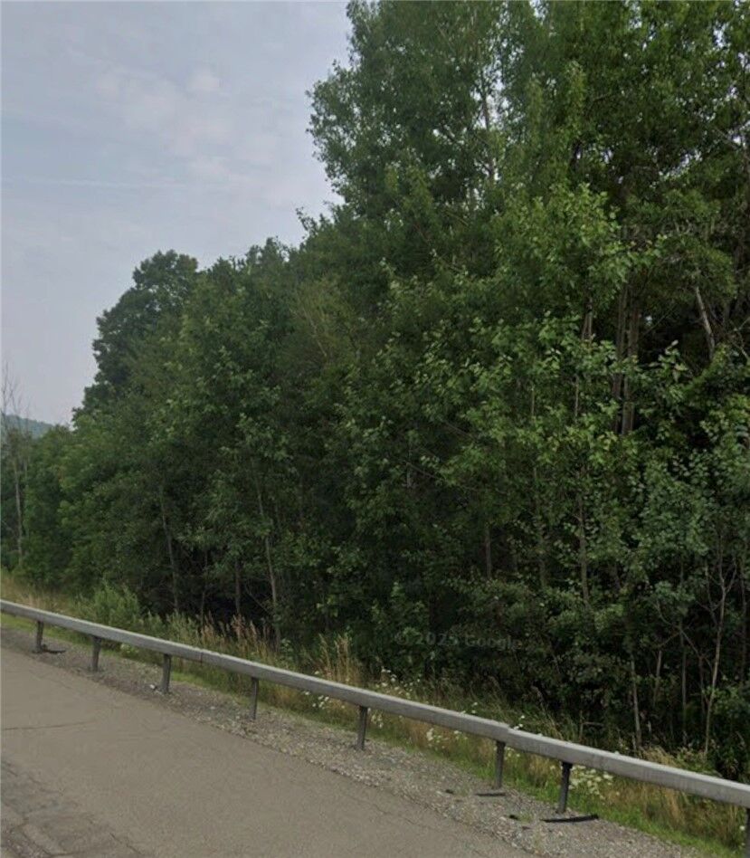 Property Photo: East NY 14809