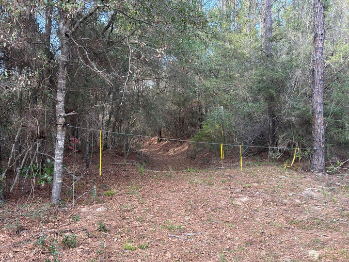 Property Photo:  0 Ryan Road  FL 32539 