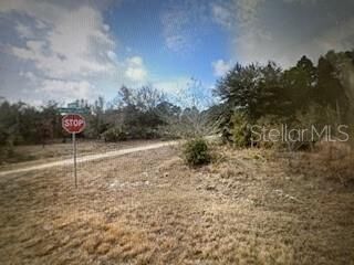 Property Photo: 13274 Caloosa Drive FL 33955