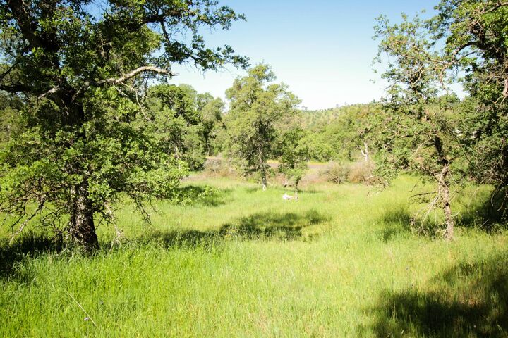 Property Photo:  1058 Salinas Street  CA 95329 