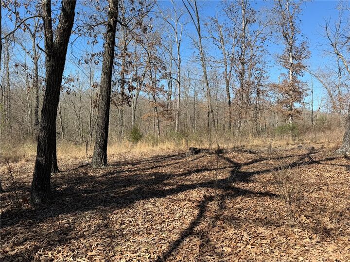 Property Photo:  35619 E Spur 23 Street  AR 72740 