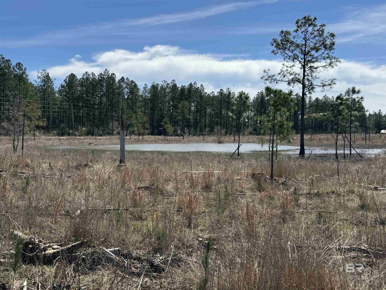 Property Photo:  2 County Road 64  AL 36567 