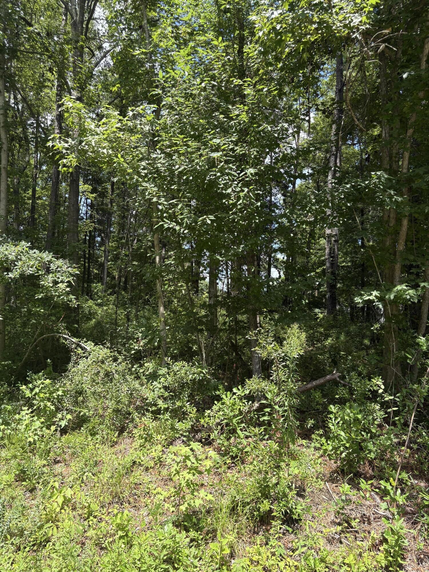 Property Photo: 0 University Drive Lot 224 SC 29418