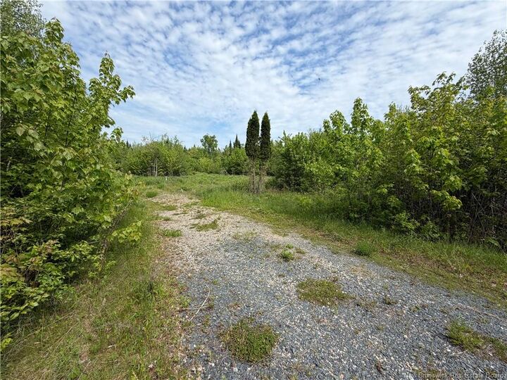 Property Photo: 225 South Black River Road NB E1N 5S5