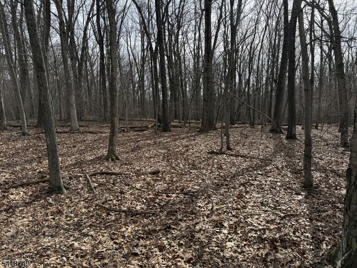 Property Photo:  162 North Rd  NJ 07930 