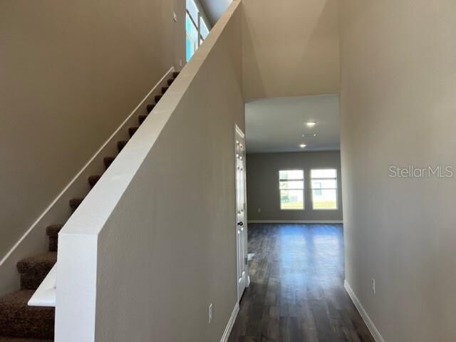 Property Photo: 34137 Scarlet Sage Court FL 33545