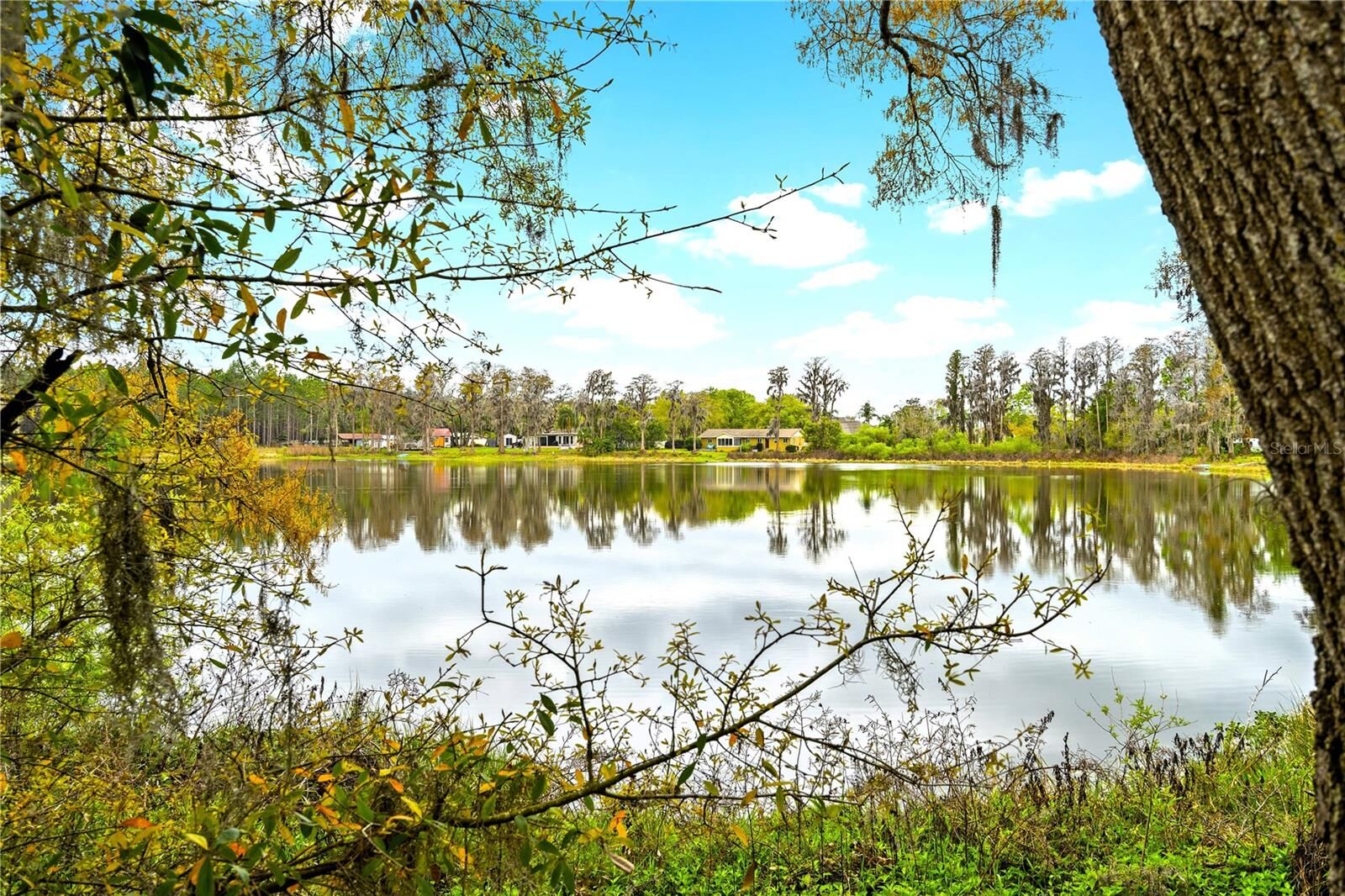 Property Photo: 18117 Boy Scout Road FL 33556