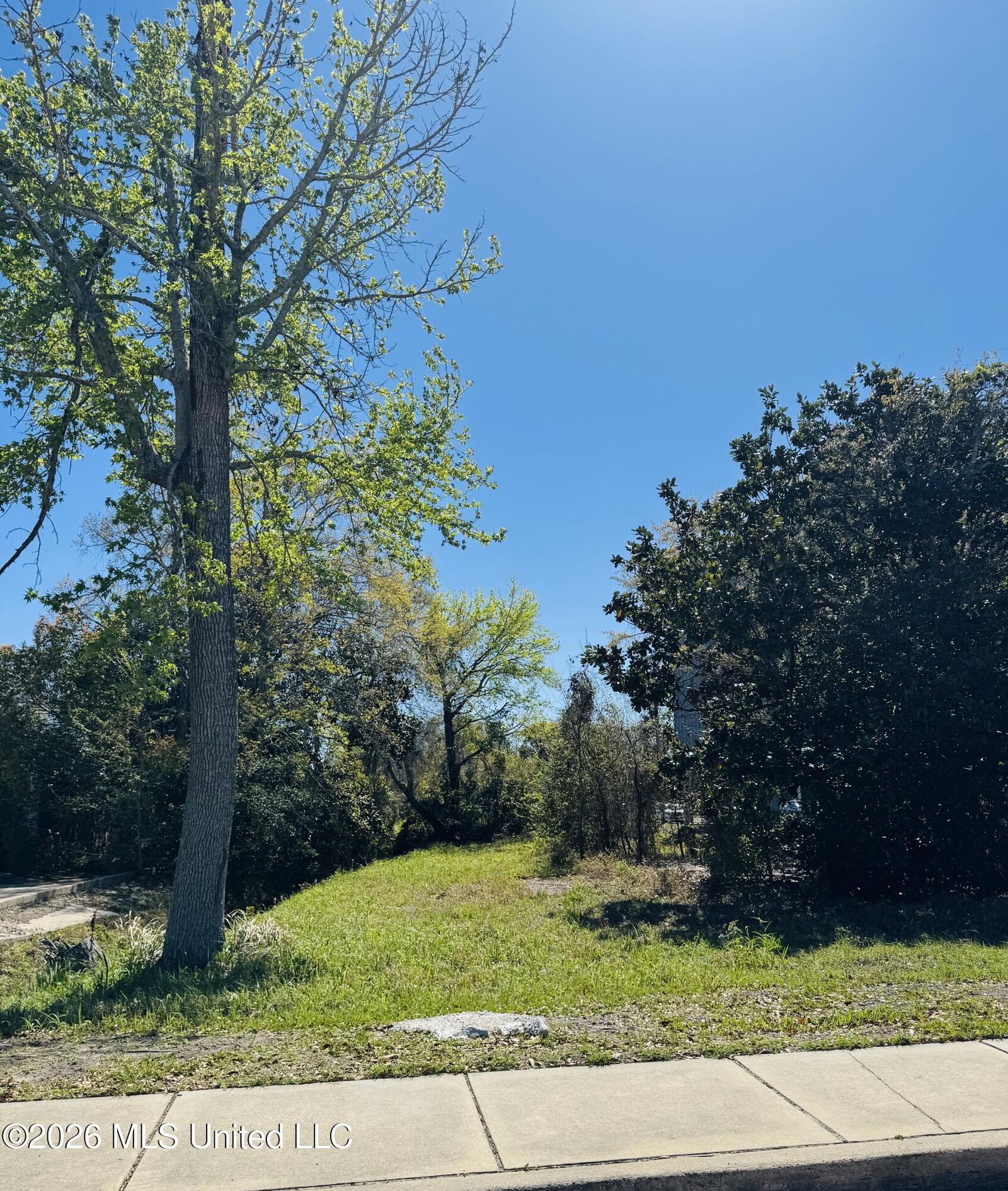 Property Photo:  0 Jackson Avenue  MS 39567 