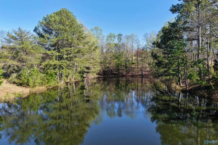 Property Photo: 01 Seven Bark Lane AL 35121