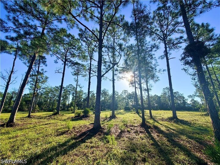 Property Photo:  21151 Hidden Woods Trail  FL 33928 