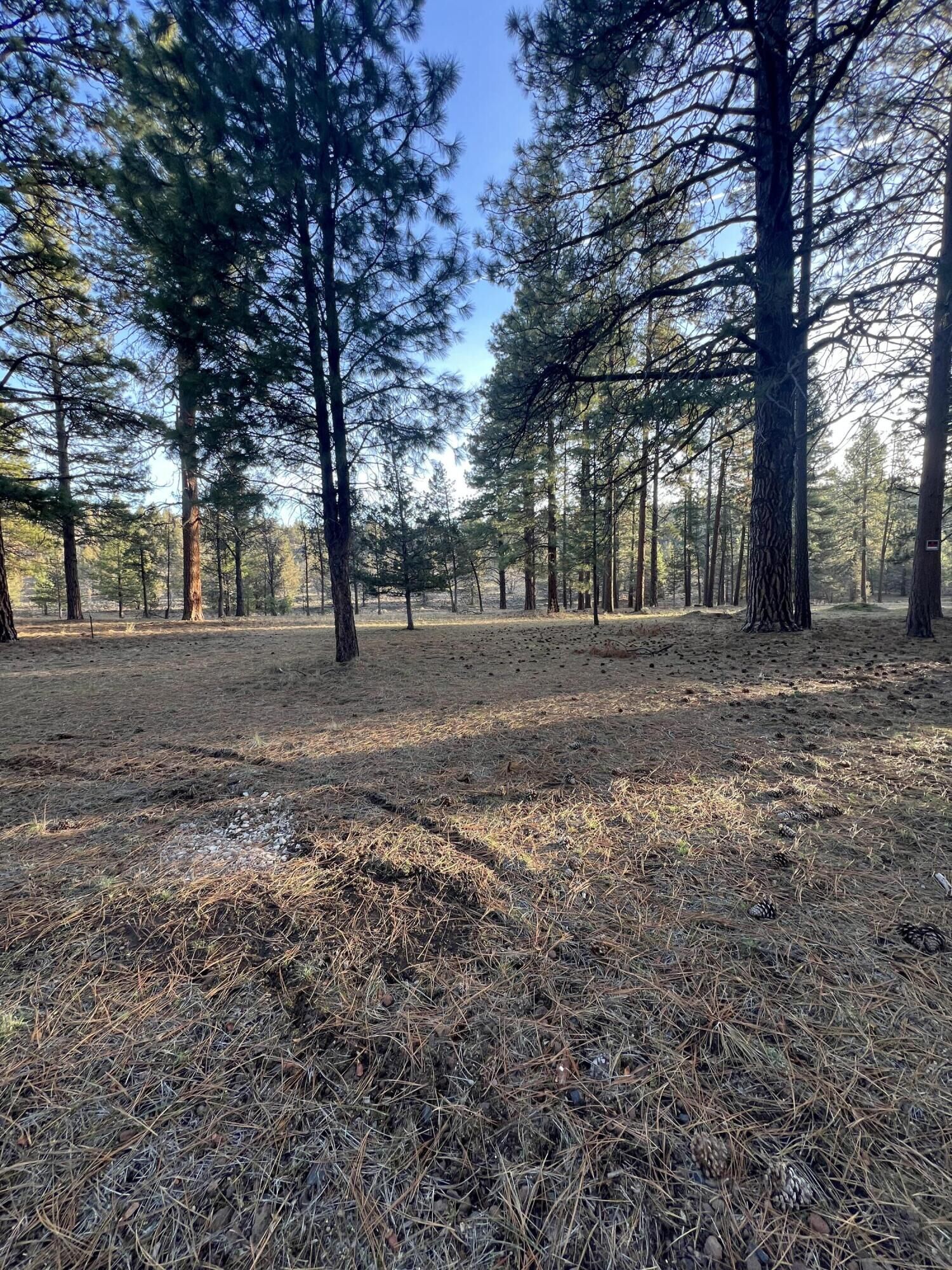 Property Photo: Overland Drive 4 &Amp 5 OR 97603