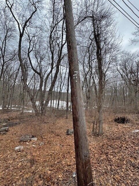 Property Photo:  Lot 4 Gould Road  MA 01507 