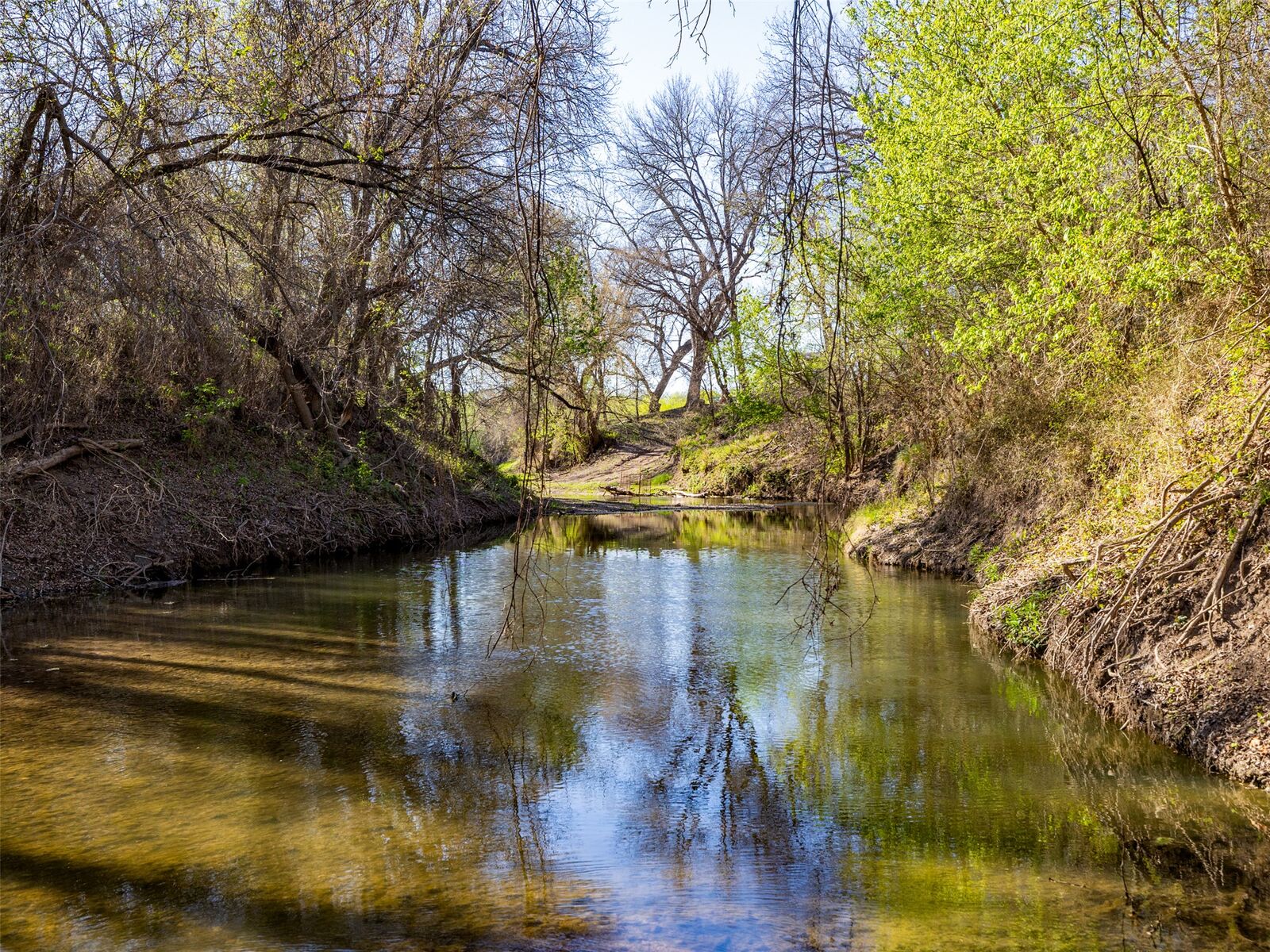 Property Photo:  400 Private Road 4295  TX 76567 