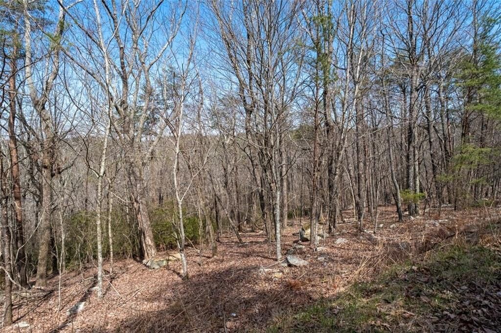 Property Photo:  0 Mulberry Circle  GA 30143 