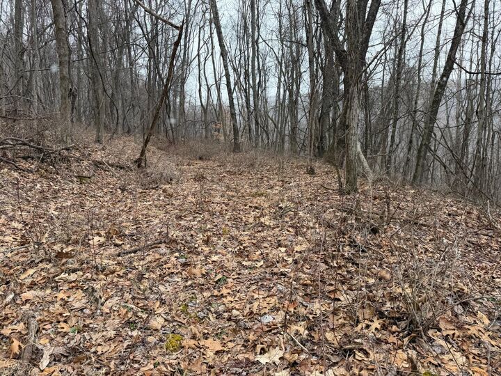 Property Photo:  N Route 219  WV 24966 