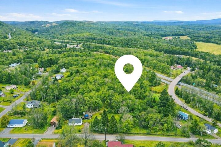 Property Photo:  California Avenue  NY 12754 