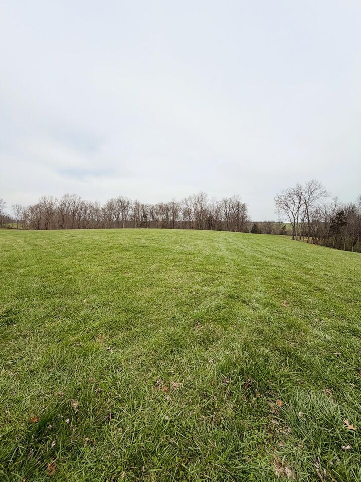 Property Photo:  11.5 Ac Osborne Road  KY 41035 