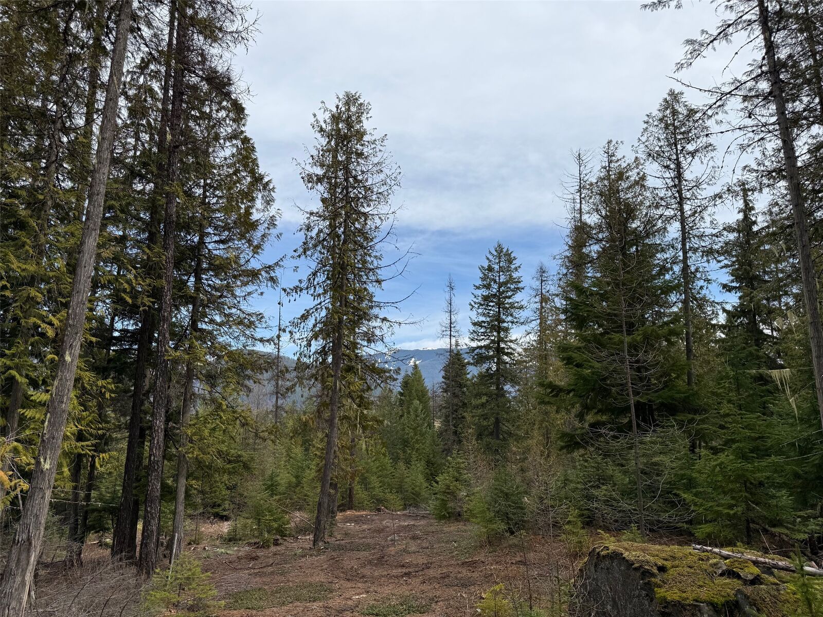 Property Photo:  230 Klakken Road  MT 59853 