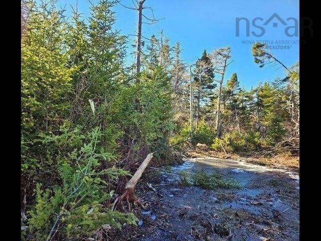 Property Photo:  Port Latour Road  NS B0W 2T0 