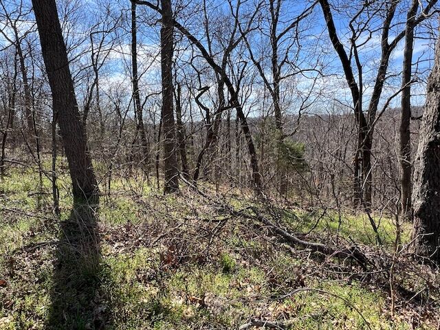 Property Photo:  85 Mercury Lane  AR 72631 