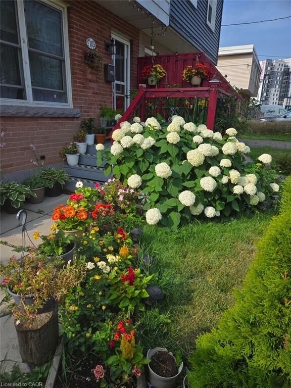 Property Photo: 10 Armstrong Avenue ON L8H 1M5