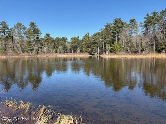 Property Photo:  206 Cranberry Creek Road  PA 18326 