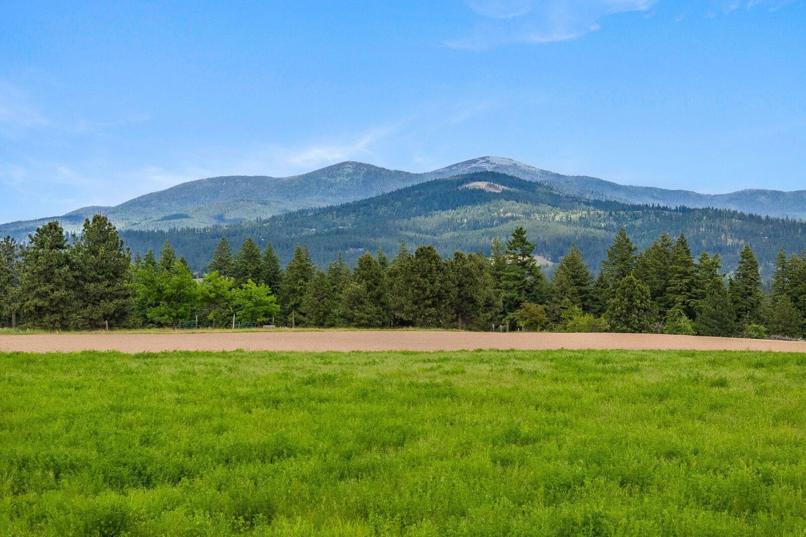 Property Photo: Nka E Day Mt Spokane Rd Green Bluff WA 99021