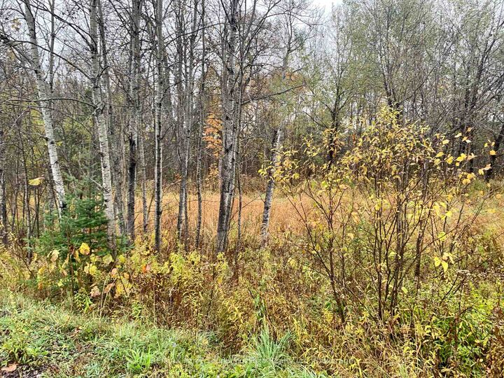 Property Photo:  Lot 2 Moore Drive  ON P0A 1G0 