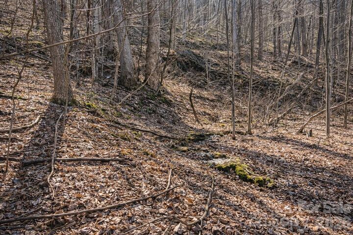 Property Photo:  4 Buckeye Road 63  NC 28751 